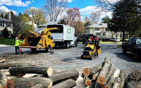 Best Utility Line Clearance  in Argos, IN